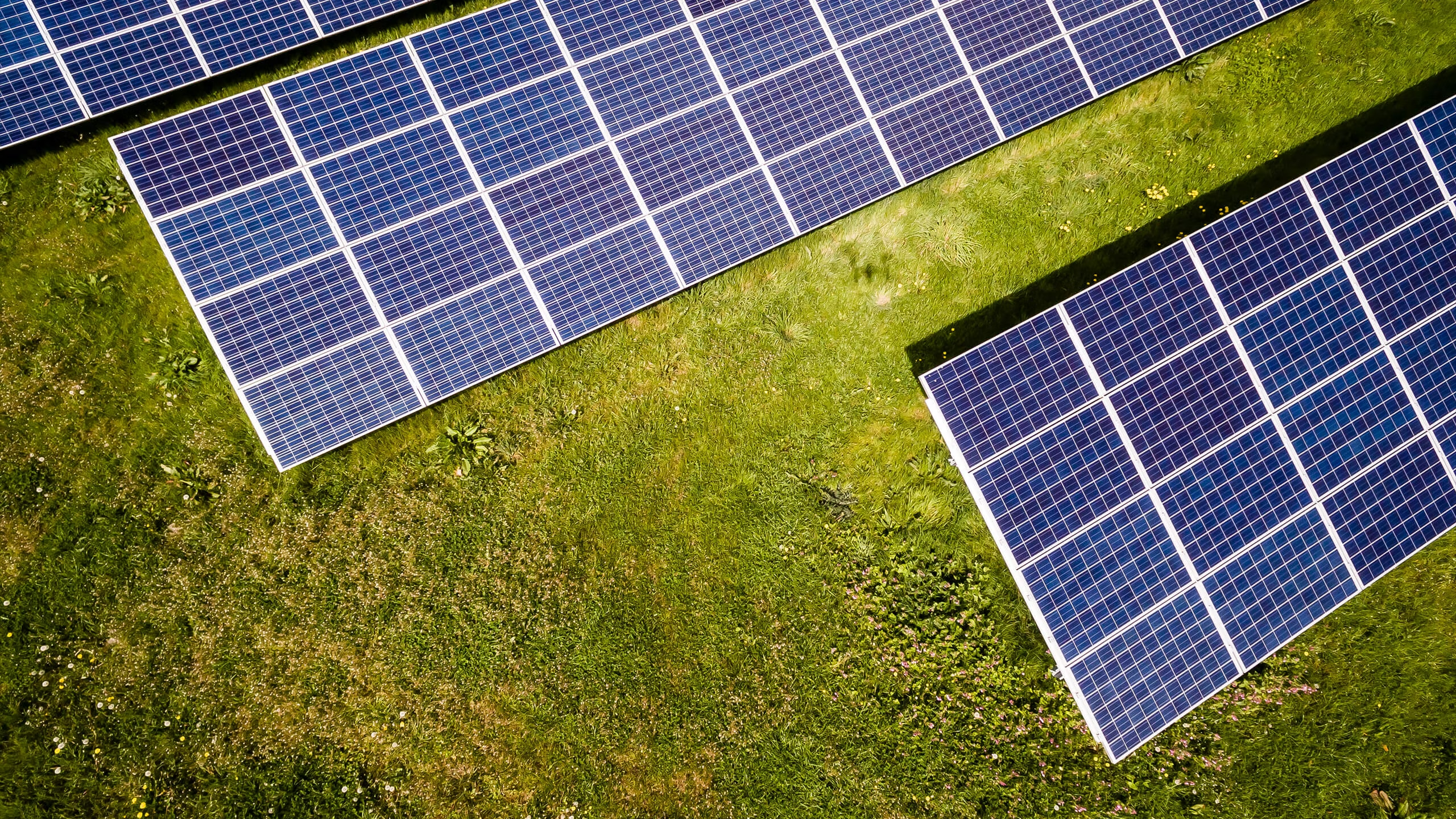 Las energías renovables, fuente de energía limpia y progreso social