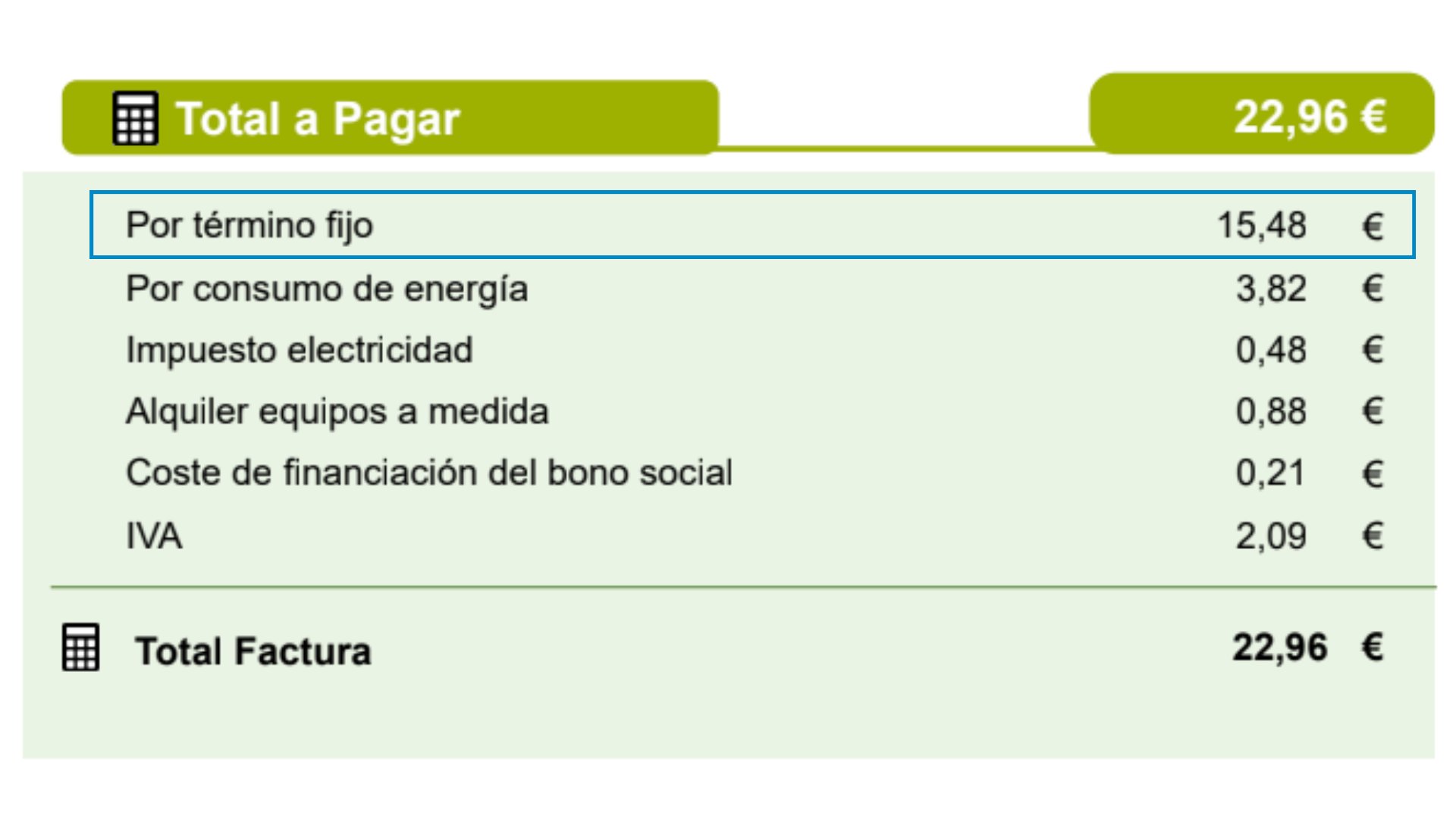 termino fijo factura luz