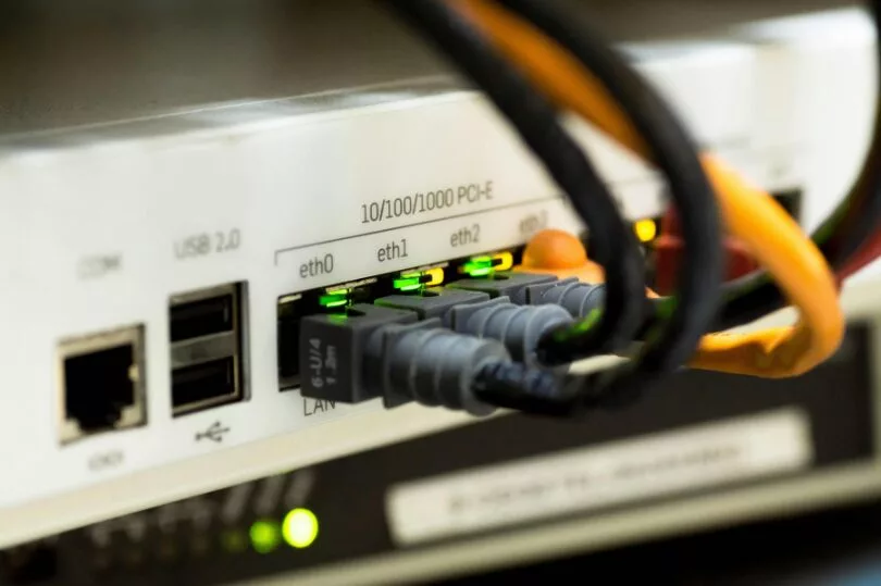 fibra lenta