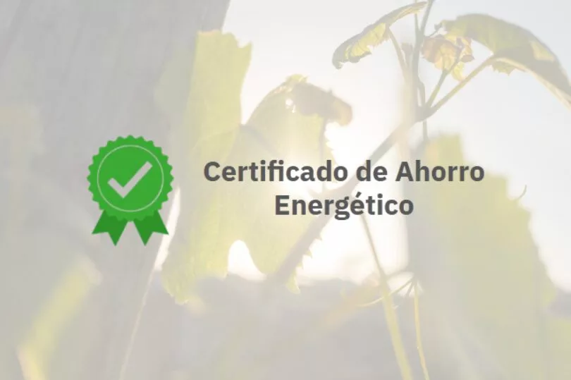 certificado ahorro energetico 1